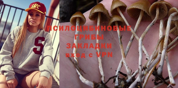 дурь Саяногорск