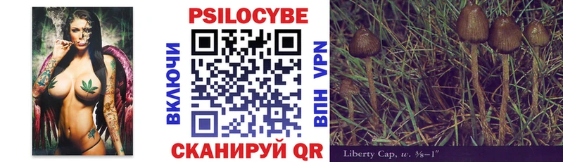 Галлюциногенные грибы Cubensis  hydra как зайти  Шумиха 